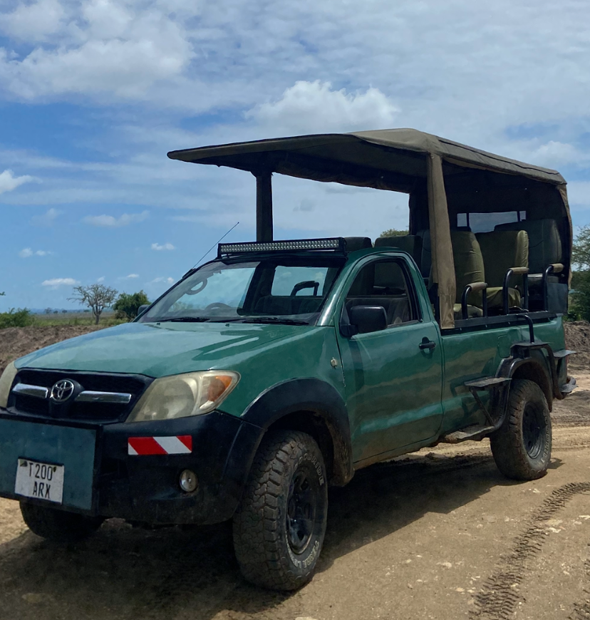 Open car Mikumi national park