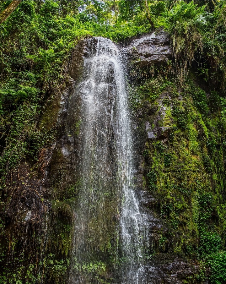 NAPURU WATERFALL ARUSHA